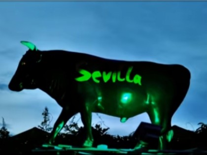 照片: Bodega Sevilla